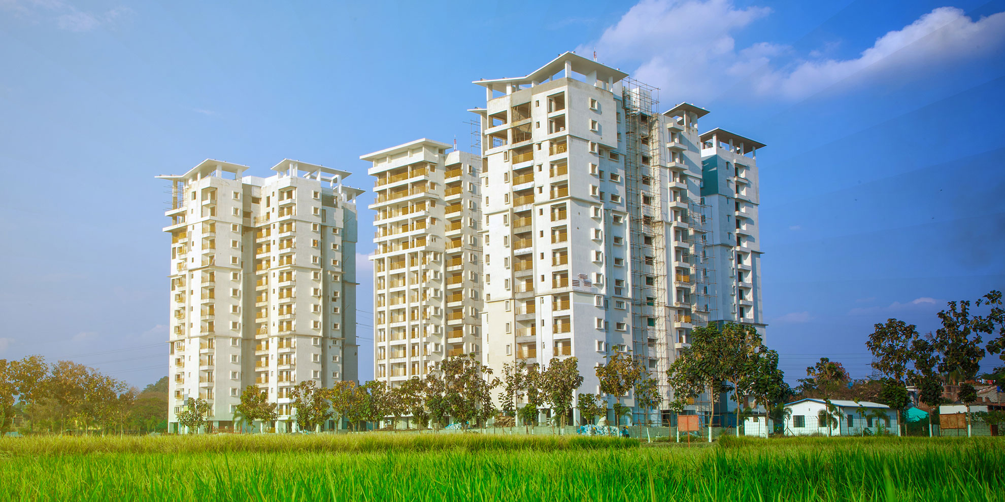 Diamond City Expertisediamon city developersdiamon city developers